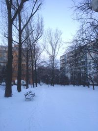 Snow covered trees against sky