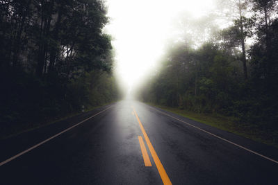 Empty road along trees