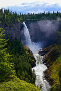 Scenic view of waterfall in forest