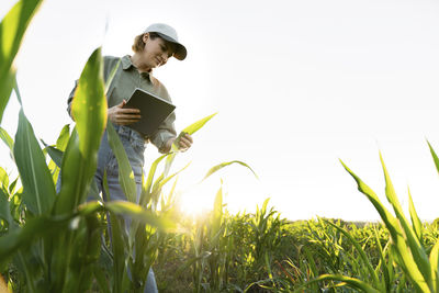 Woman holding digital tablet in field examining maize plant