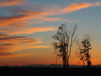 Silhouette trees against sky during sunset