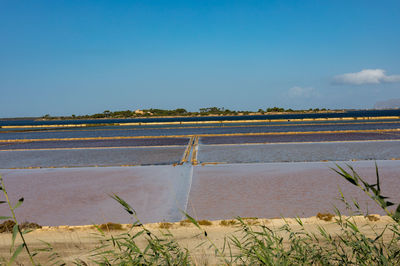 Scenic view of agricultural field against blue sky