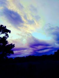 Low angle view of silhouette trees against sky at sunset