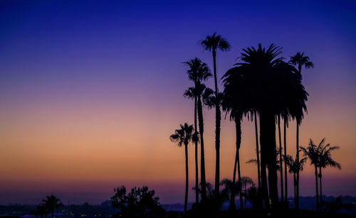 Low angle view of palm tree against sky during sunset