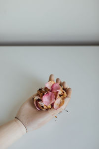 Close-up of hand holding pink rose flower