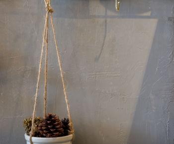 Close-up of potted plant against wall