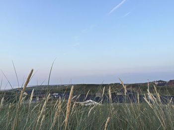 Scenic view of grassy field against cloudy sky