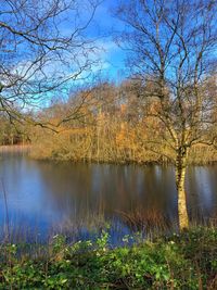 Reflection of bare trees in lake against sky