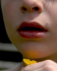 Midsection of child holding yellow buttercup