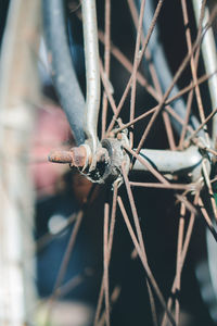 Close-up of rusty bicycle