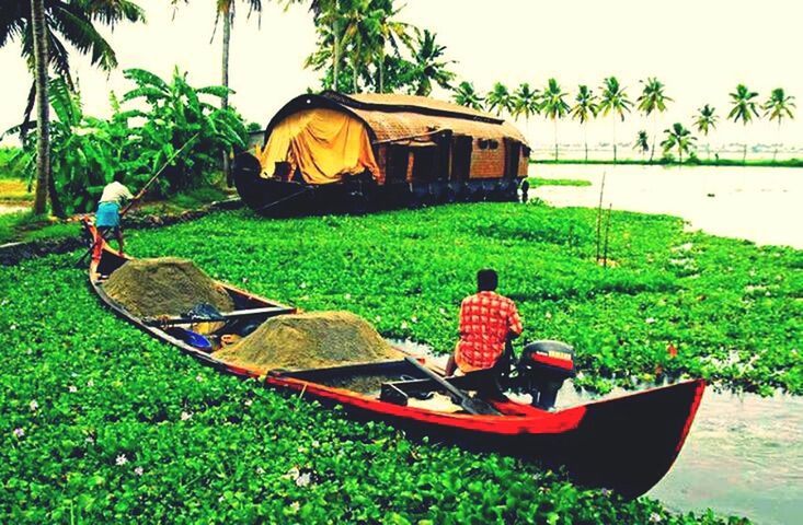 grass, mode of transport, tree, transportation, green color, field, clear sky, nature, grassy, growth, day, sunlight, plant, land vehicle, tranquility, water, outdoors, abandoned, nautical vessel, chair