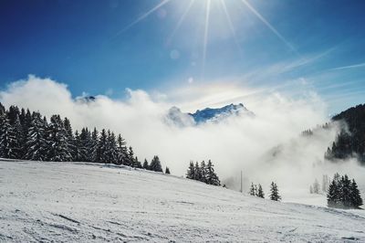 Scenic view of landscape against sky