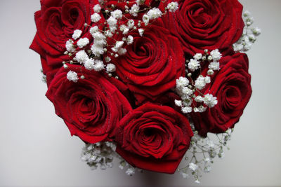 Close-up of red rose against white background