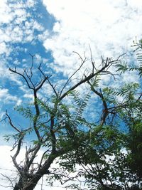 Low angle view of bare tree against cloudy sky