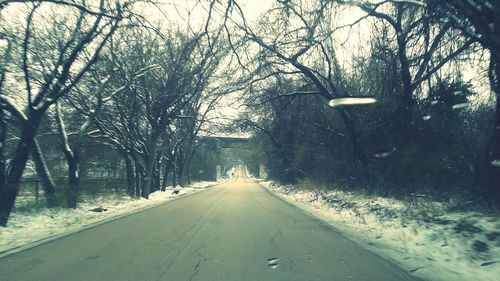 Empty road along trees