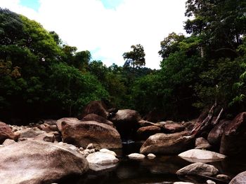 Rocks in forest against sky