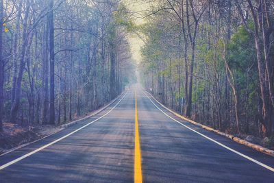 Empty road amidst trees in forest