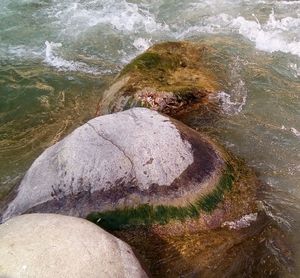 High angle view of rocks by sea