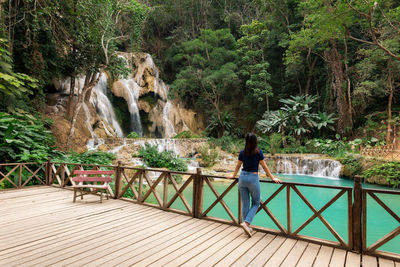 Rear view of woman standing by railing in forest