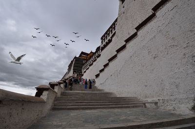 Birds flying in city against sky