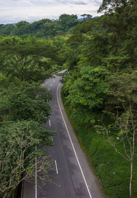 Road amidst trees against sky