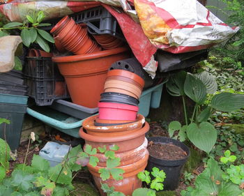 Close-up of plants