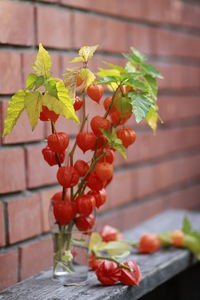 Close-up of red berries on table