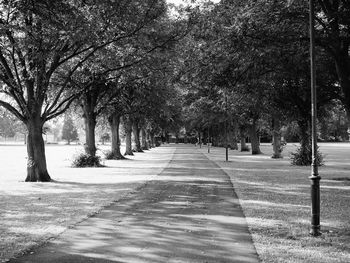 Empty pathway along trees in park