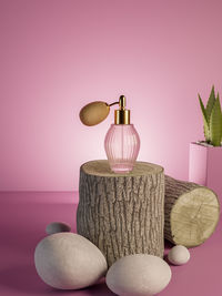 Close-up of potted plant on table against wall