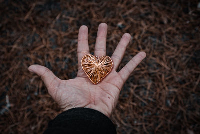 Close-up of human hand holding dry leaf