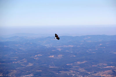 High angle view of bird flying in mountains