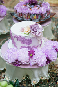 Close-up of pink roses against blurred background