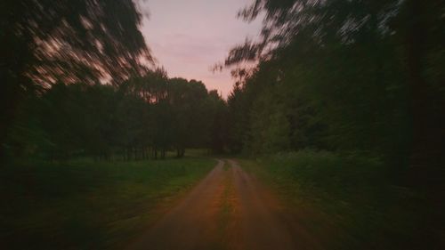 Country road along trees