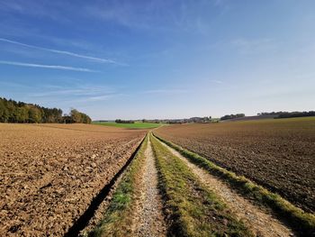 Scenic view of agricultural field against sky