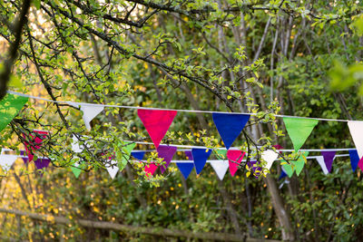 Multi colored flags hanging on tree in forest