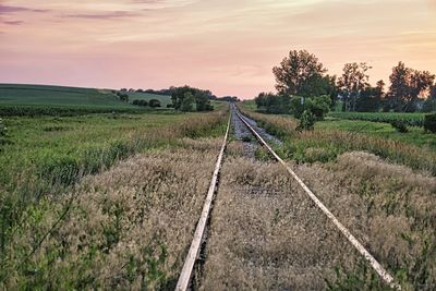 Tracks less traveled