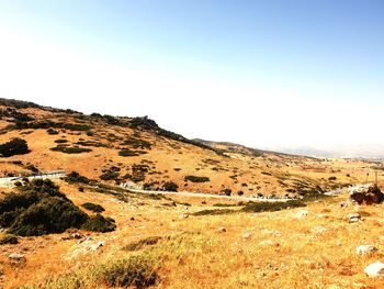 Scenic view of field against clear sky