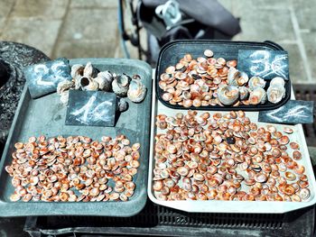 High angle view of various sea shells on table for sale are the market in marseille 