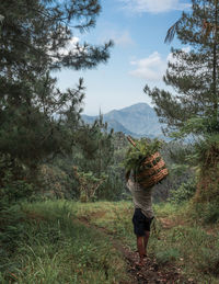 Rear view of man walking on field against sky