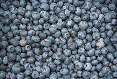 Full frame shot of blueberries