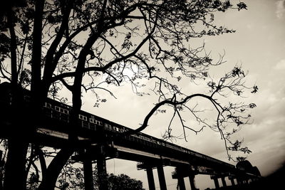 Low angle view of bridge against sky