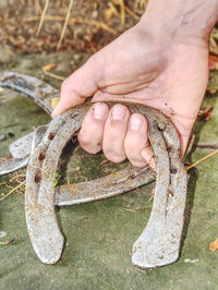 Silver used horse shoes on palm of young woman. fall season still with obsolet horseshoes