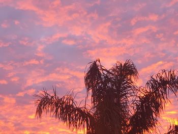 Low angle view of silhouette plants against romantic sky