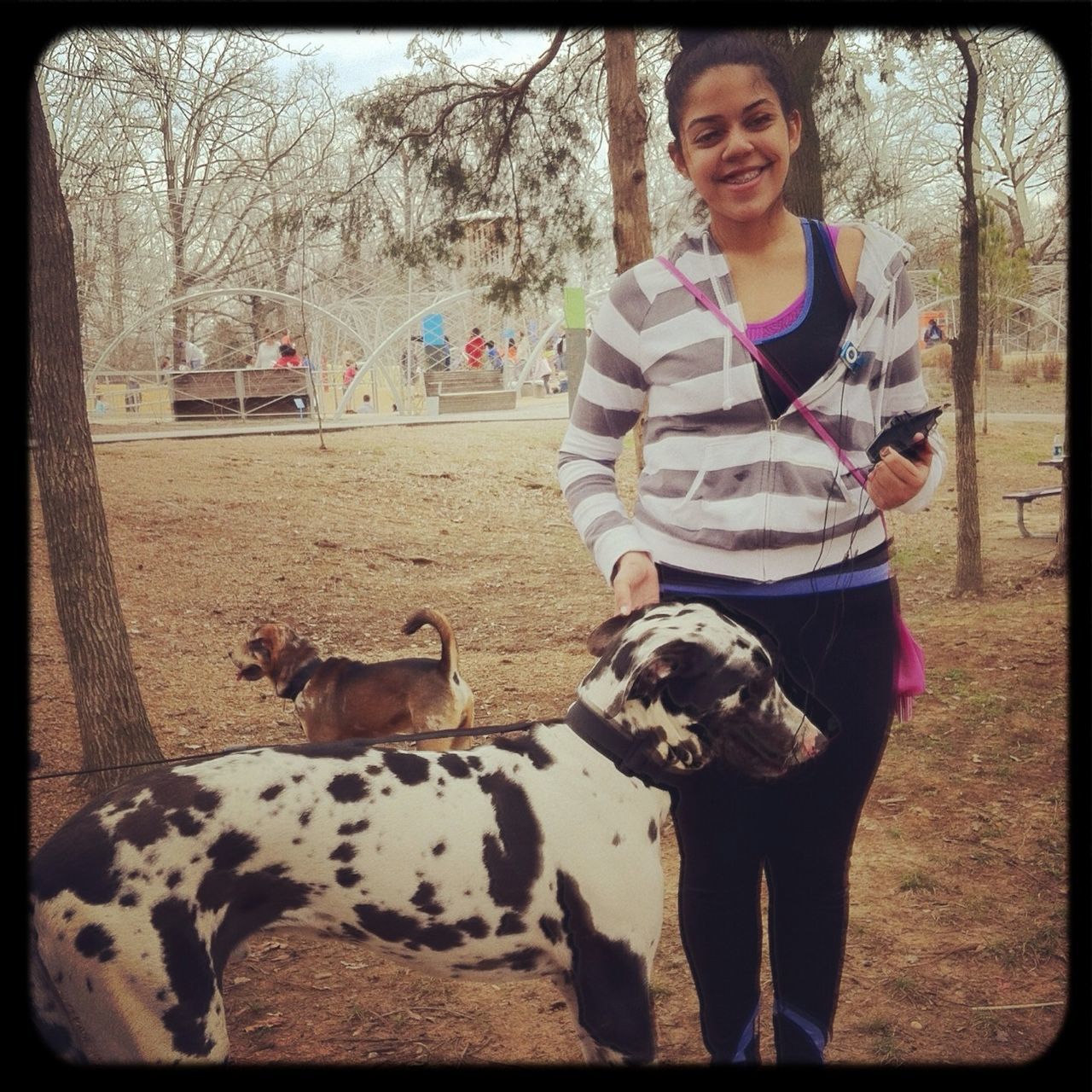 Shelby Farms Playground