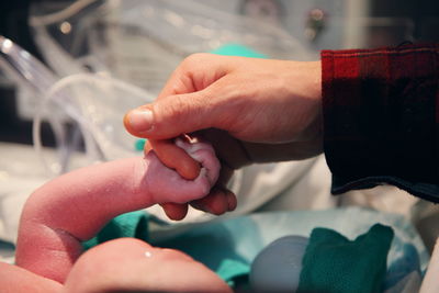 Close-up of man holding hand of baby