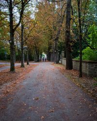 Road amidst autumn trees in park