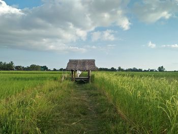 Hut at the end of the field.