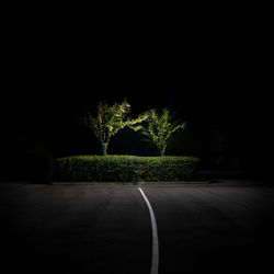 Road along trees at night