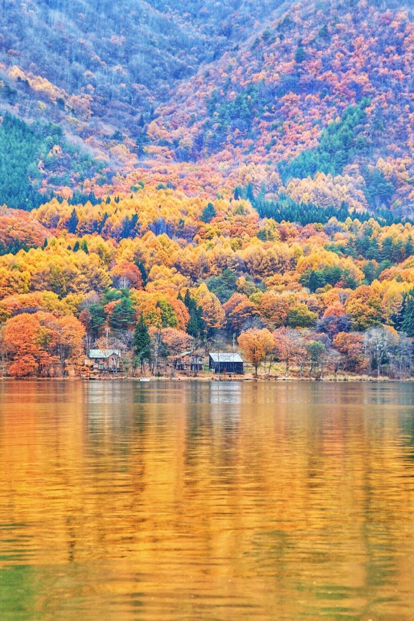 autumn, water, scenics, beauty in nature, reflection, tree, lake, nature, tranquil scene, tranquility, outdoors, waterfront, no people, day, multi colored, travel destinations, landscape, sky