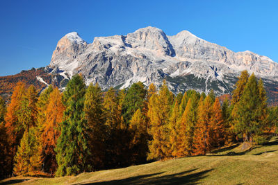 Scenic view of trees and mountains against clear blue sky